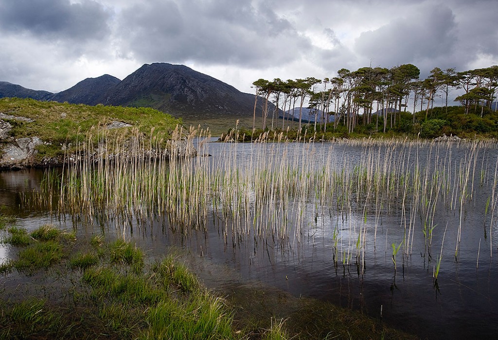 Striper Spawn Record | Ed Mitchell Outdoors
