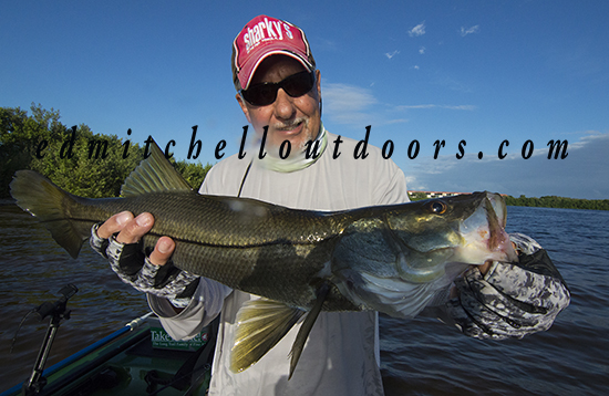 Snook on a Fly
